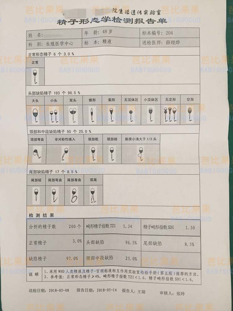 精子形态学检测报告