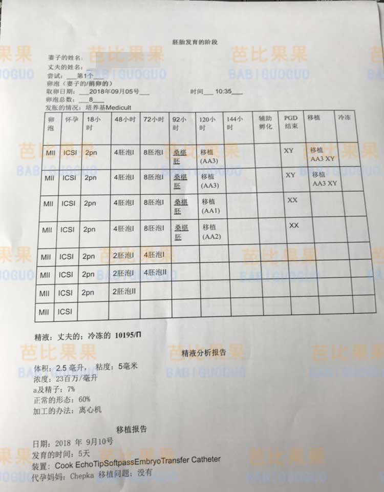 乌克兰试管胚胎发育阶段报告