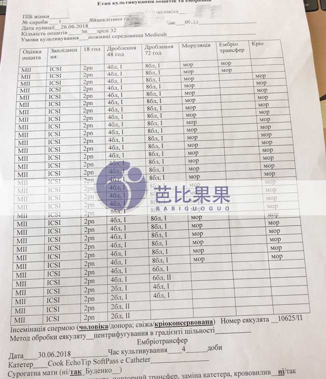 乌克兰自卵取卵卵子达32颗，授精养囊成26个胚胎