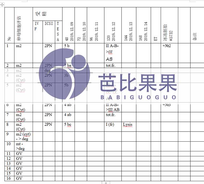 自卵试管胚胎的胚胎报告