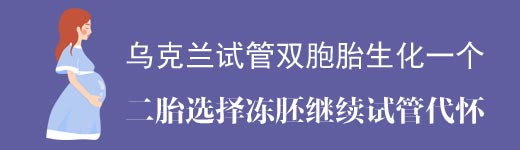 乌克兰试管双胞胎生化一个,二胎选择冻胚继续试管代怀案例分享