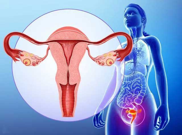 宫腔环境检查