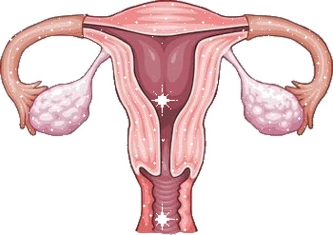 多囊卵巢综合征做试管