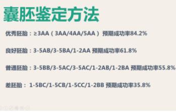 泰国试管婴儿6ac囊胚移植成功较高