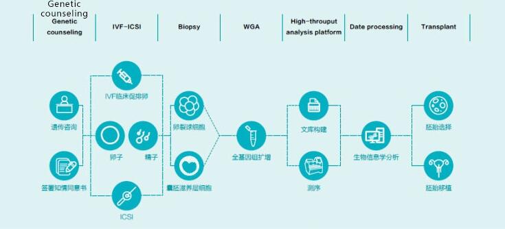 泰国第三代试管婴儿(PGD/PGS)检测流程