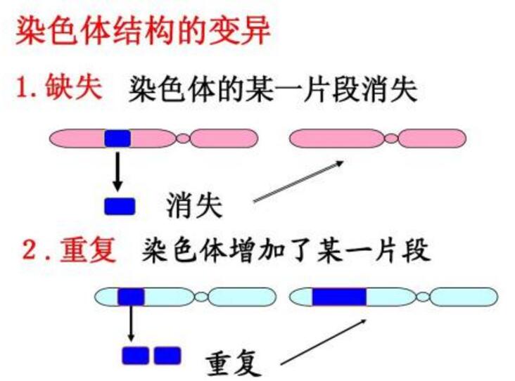 泰国第三代试管婴儿助力染色体异常生育健康宝宝